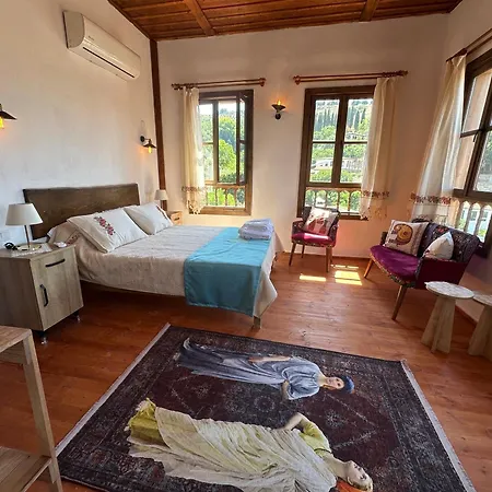 Accommodatie bij particulieren Cirkince Sirince *