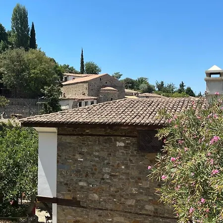 çirkince şirince Pansiyon *