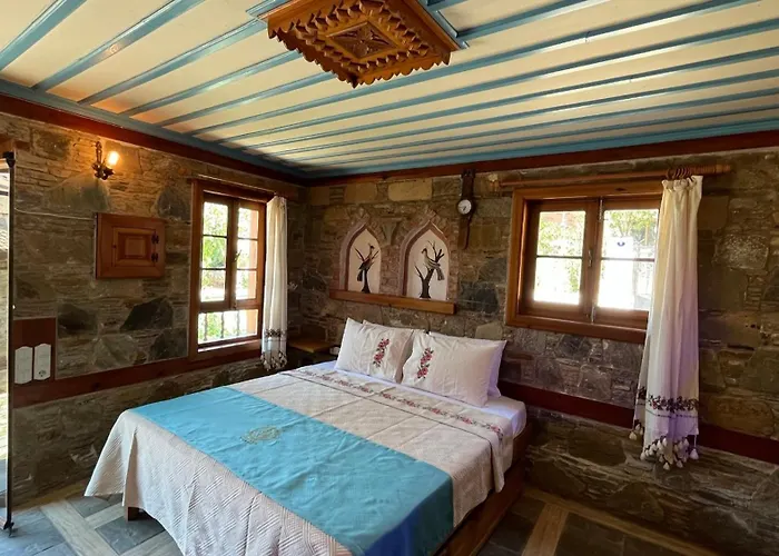 Pansiyon çirkince şirince