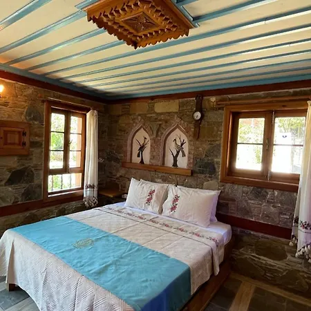 Habitación en casa particular Cirkince Sirince
