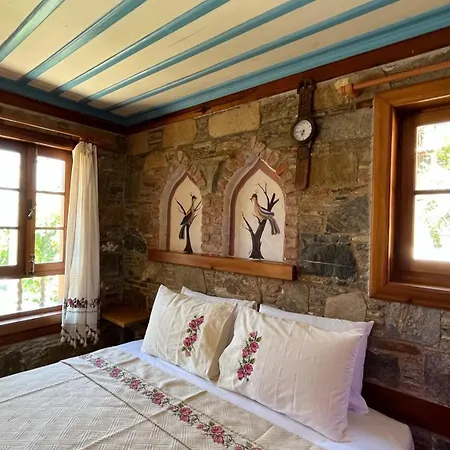 Cirkince Sirince Habitación en casa particular