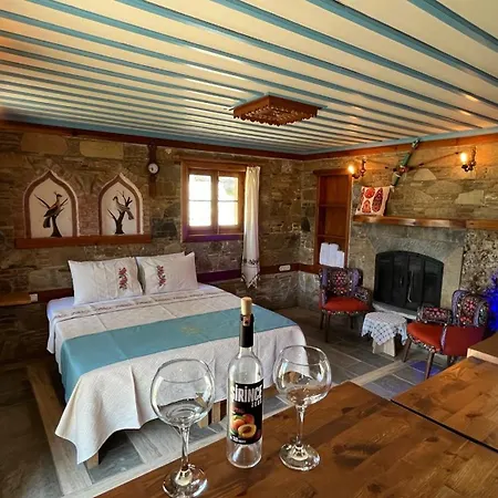 Habitación en casa particular Cirkince Sirince
